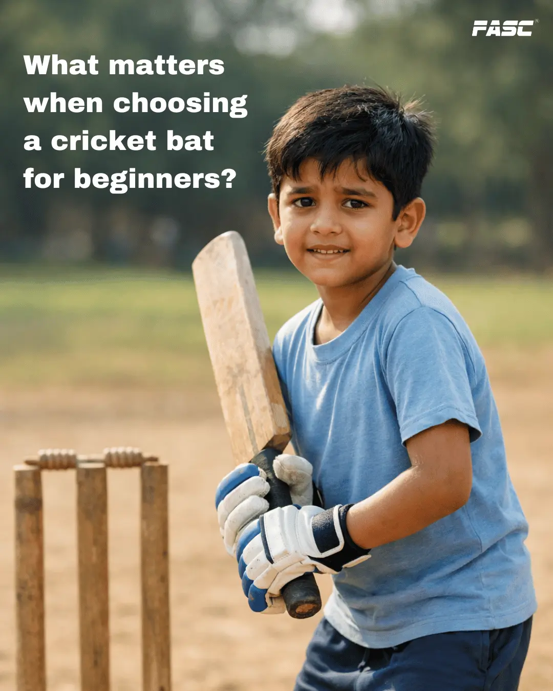 Best Cricket Bat for Beginners: Complete Buying Guide